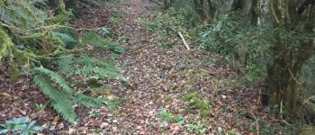 POI Fougax-et-Barrineuf - chemin de ... voir cadastre!  - Photo