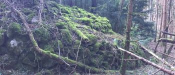 Punto di interesse Bélesta - tres gros tumulus  - Photo