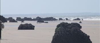 Point d'intérêt Blonville-sur-Mer - rocjher sur la plage - Photo
