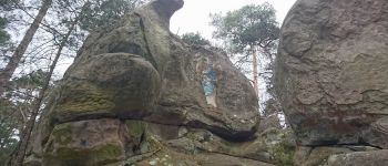 Punto de interés Fontainebleau - 03 - Le Rocher du Cid et la Vierge à l'Enfant - Photo