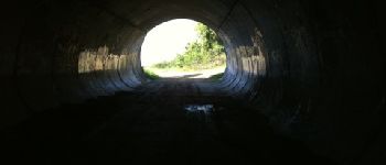 POI Le Pin - tunnel  - Photo