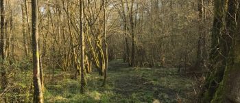 Point d'intérêt Couvin - Sentier des chasseurs - Photo