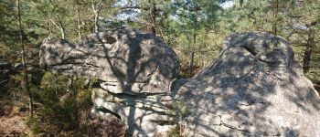 Point d'intérêt Fontainebleau - 09 - Dromadaire fossile - Photo