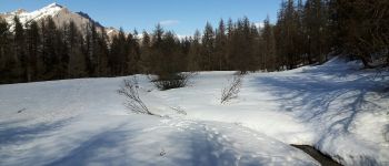 Point d'intérêt Puy-Saint-Vincent - un beau champs de neige - Photo