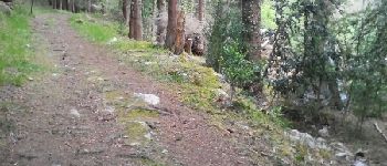 Point d'intérêt Fougax-et-Barrineuf - descente vers les mijanes - Photo