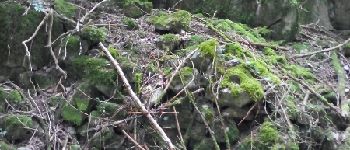 Point d'intérêt Fougax-et-Barrineuf - flanc de doline bâti - Photo