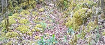 Point d'intérêt Fougax-et-Barrineuf - doline deja vue durant  une aautre randonnee - Photo