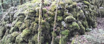 Point d'intérêt Fougax-et-Barrineuf - doline habitee - Photo