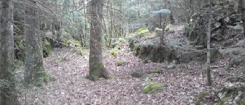 Point d'intérêt Fougax-et-Barrineuf - doline integralement batie - Photo