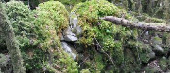 Point d'intérêt Fougax-et-Barrineuf - murbbien cachebderriere les mousses! - Photo