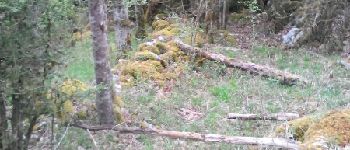 Point d'intérêt Fougax-et-Barrineuf - mur avant le descente dans la doline  - Photo