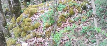 Point d'intérêt Bélesta - petit tas de pierrenen bord du sentier - Photo