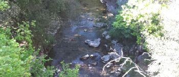 Point d'intérêt Saint-Vallier-de-Thiey - La Siagne vers l amont - Photo