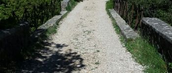 Point d'intérêt Saint-Vallier-de-Thiey - Le pont sur la Siagne - Photo