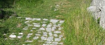 Point d'intérêt Escragnolles - Un chemin plus carrossable - Photo