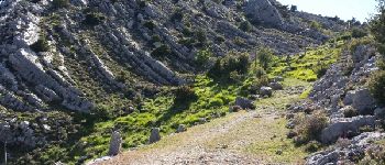 Point d'intérêt Escragnolles - Bientot le sommet - Photo