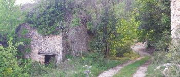 Point d'intérêt Escragnolles - ruines - Photo