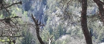 Punto de interés Salvan - vue sur les cascades - Photo