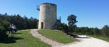 Point d'intérêt Bors-de-Montmoreau - Le moulin de Perdrigeau - Photo