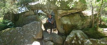 POI Fontainebleau - 10 - L'Arche des Druides - Photo