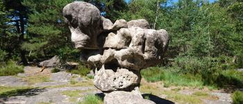 Point d'intérêt Fontainebleau - 12 - Le Sphinx des Druides - Photo