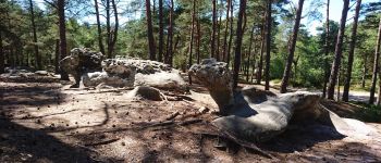 Point d'intérêt Fontainebleau - 14 - Un dinosaure émergant du sable et un chien couché derrière - Photo