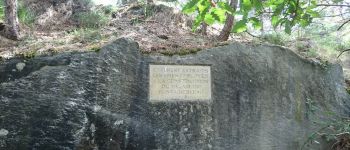 Point d'intérêt Fontainebleau - 06 - Une stèle en l'honneur des carriers - Photo