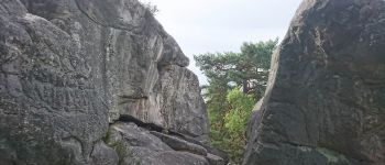 Point d'intérêt Fontainebleau - 02 - Le Rocher de Rude (S) - Photo