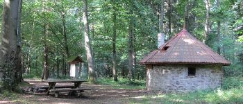 POI Romanswiller - cabane des trois forestiers - Photo