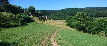 Point d'intérêt Tence - 03 - Le Château du Besset - Photo