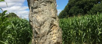 Point d'intérêt Guitté - Menhir de La Pierre Longue - Photo