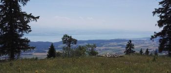 Point d'intérêt Val-de-Ruz - vue sur le lac et les alpes - Photo