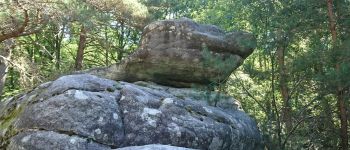 Point d'intérêt Saint-Pierre-lès-Nemours - 05 - Faut deviner (imaginer) à quoi ressemble ce rocher - Photo