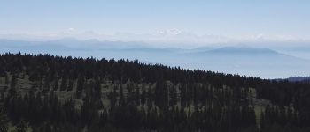 POI Arzier - les alpes avec le Mont Blanc - Photo