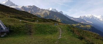 Point d'intérêt Chamonix-Mont-Blanc - Charamillon - Photo