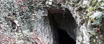 Point d'intérêt Dinant - grotte - Photo
