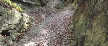 Punto de interés Burgdorf - Ancien chemin creusé - Photo