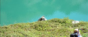 Point d'intérêt Aussois - Marmotte ! - Photo