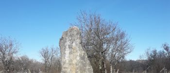POI Livernon - Menhir de Belinac - Photo