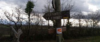 Point d'intérêt Villeneuve-du-Latou - Les Hobbits? - Photo