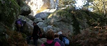 Point d'intérêt Fontainebleau - * Rocher Canon - Photo