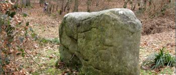 POI Villers-Saint-Frambourg-Ognon - le dolmen de Chancy - Photo