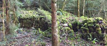 Point d'intérêt Fougax-et-Barrineuf - bâtis dans le bois - Photo