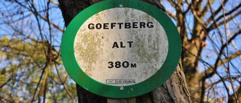 POI Hohengöft - Le sommet du Goeftberg - Photo