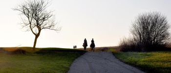 POI Nordheim - Les cavaliers à contre jour - Photo