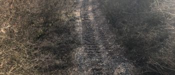 POI Gouhenans - ancienne voie ferrée  - Photo
