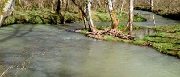 Punto de interés Bordères-sur-l'Échez - Point 3 - Photo