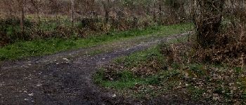 Punto de interés Bordères-sur-l'Échez - Point 6 - Photo