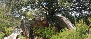 Punto di interesse Saint-Michel-de-Llotes - dolmen de los mosis Point 1 - Photo