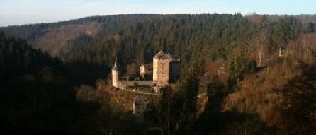 Point d'intérêt Waimes - kasteel Rheinhartstein - Photo